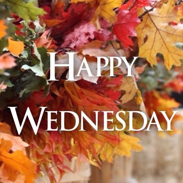 simply_love_fun's tweet photo. @Nik_Nak79 @CocoaBunnie #teamvick https://t.co/cEjZPjoZwW