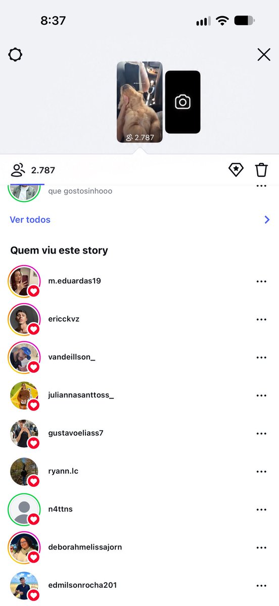 juniorswam's tweet photo. mds o story do cachorro mais engajado do que o meu https://t.co/2julmFl5EL