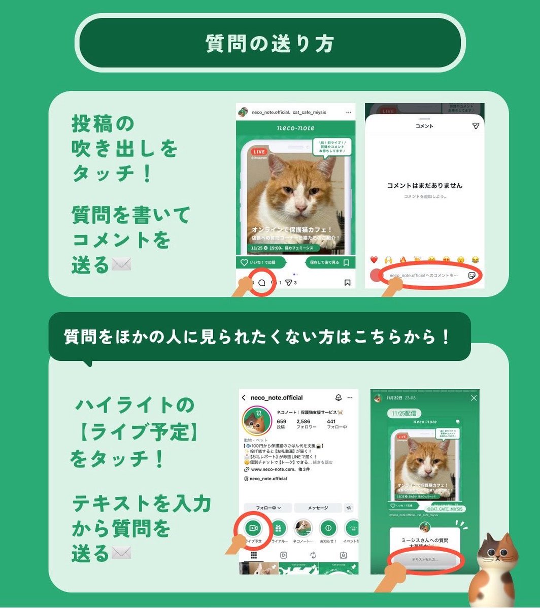 neco_note0222's tweet photo. 【📢ライブ配信のお知らせ】
10/6 19時から
神奈川県横浜市で活動されている
猫カフェミーシス(@cat_miysis )さんとインスタライブをお届け✨

カフェのこと、猫たちのことなど質問やリクエストをネコノート公式Instagramにて募集しています📣

▼ネコノート公式Instagram
https://t.co/nx7QQR9xmd https://t.co/JHvTbLIZUT