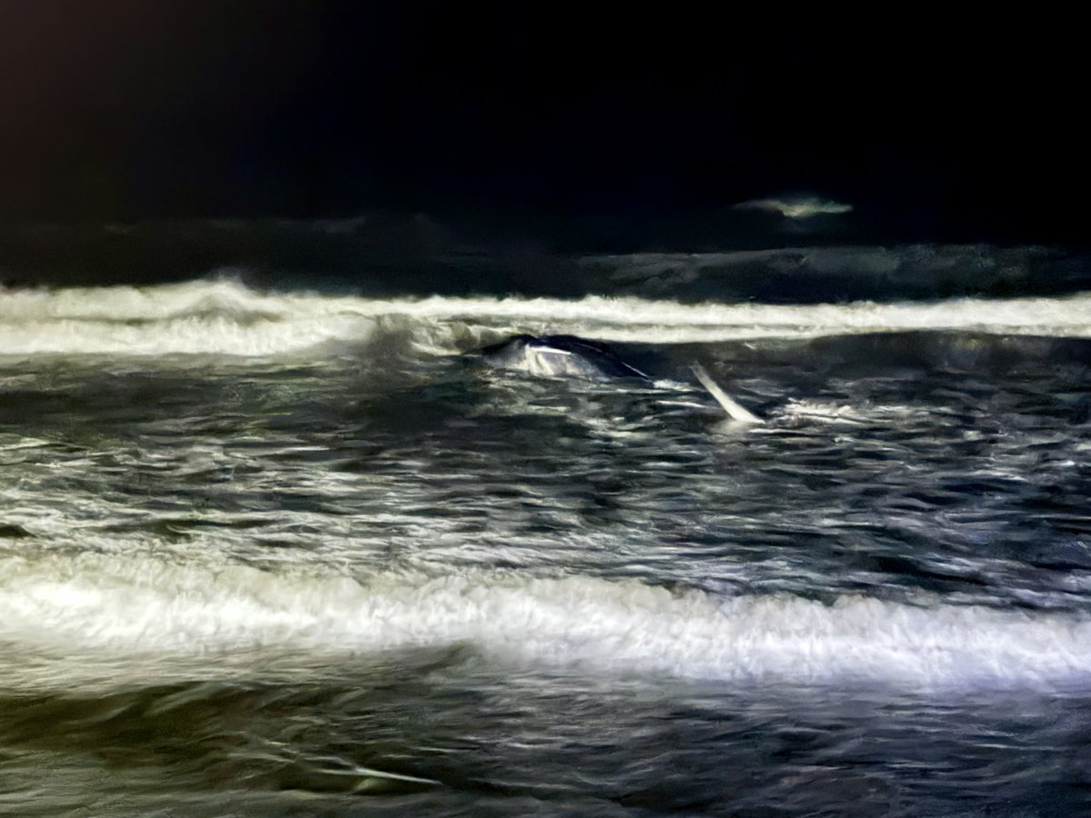 kujyukuriangler's tweet photo. また堀川浜にクジラ！
１９時頃見に行ったがまだ塩吹いて生きている！
スマホで撮ったが暗くて分かりづらいですが。　#千葉 #クジラ https://t.co/M4TsCnIXRf