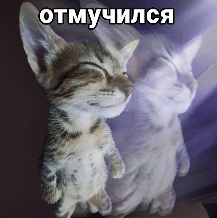 antikrii's tweet photo. ураааа домой https://t.co/pPjlDU8gEn