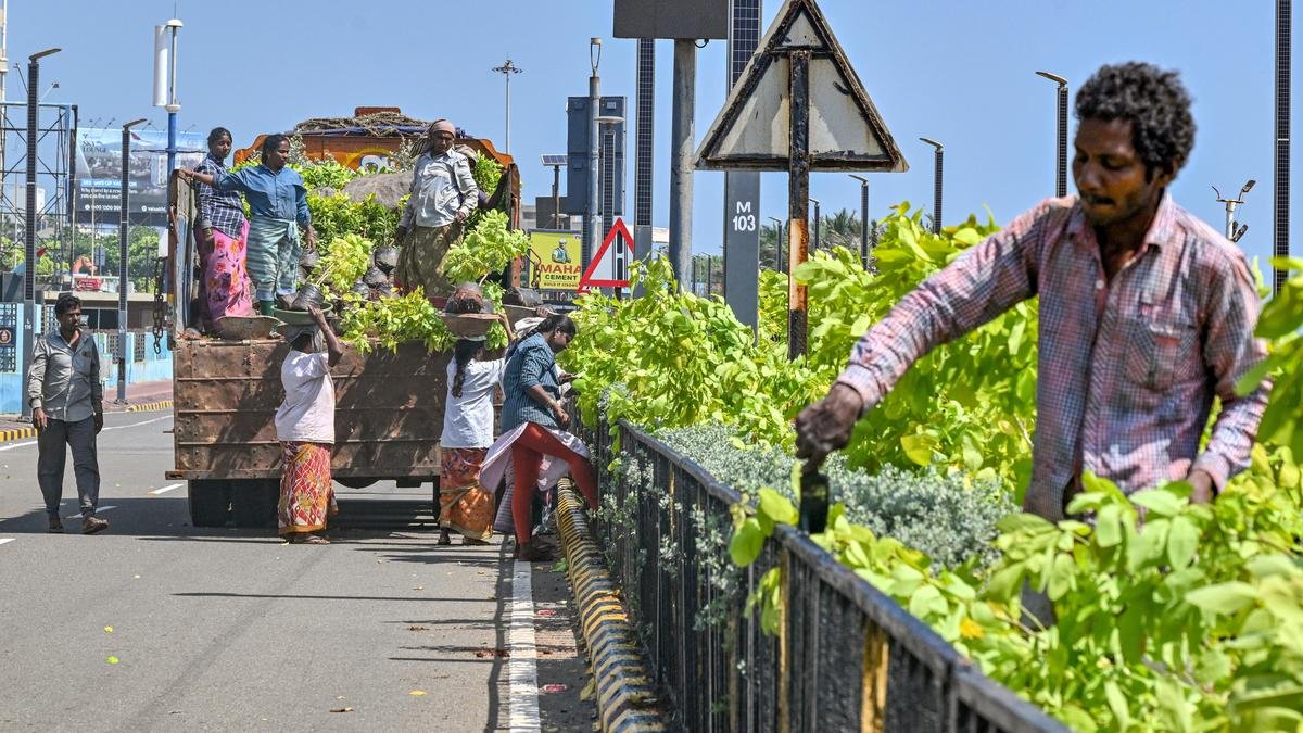 AndhraNexus's tweet photo. 🚨 Visakhapatnam is set for a major beautification push ahead of the CII Partnership Summit.

» ₹400 crore allocated under a special package for the city’s comprehensive development.

» Funds will support major roads, central medians, greenery, junction modernisation and modern lighting.

» GVMC Commissioner Ketan Garg has directed officials to complete priority works within a month.