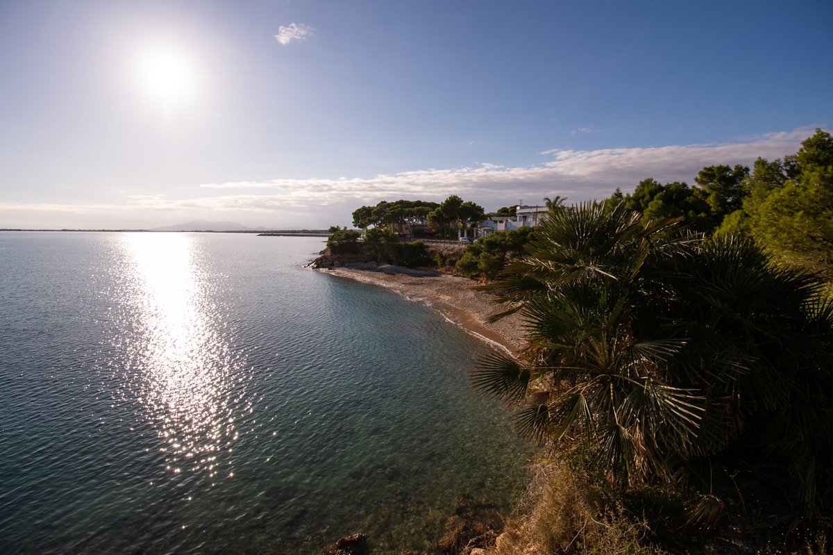lampollaturisme's tweet photo. 🌊 La costa ampollera, un paisatge per descobrir 💙
La costa de l’Ampolla és una combinació perfecta de mar, cales, penya-segats i paisatges mediterranis. 🌿☀️
#lAmpolla #DeltadelEbre #TerresdelEbre #CatalunyaExperience #VilesMarineres
@terresebretur @catexperience https://t.co/mnt26cgSpq