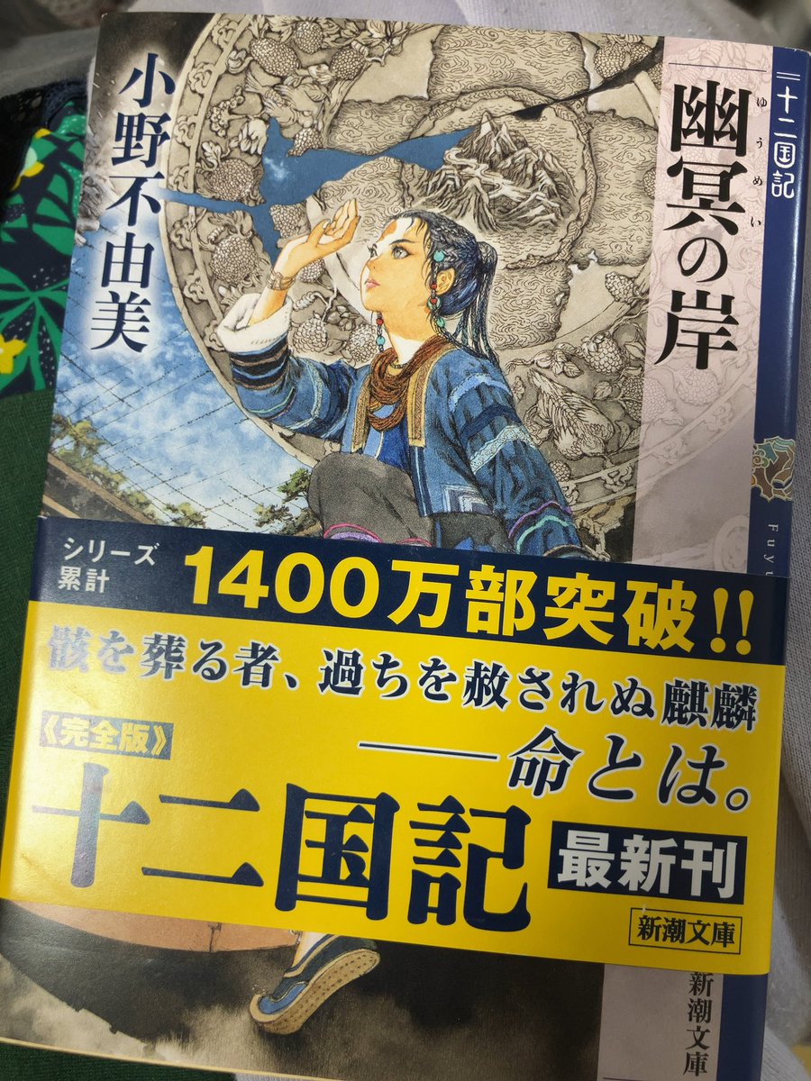 anti_element's tweet photo. 『十二国記』新刊でた！

はい、読む時間なーい(小野先生ごめんなさい！)、妻から話聞く

つーか、最近何もかもが中途半端でなぁ
新しいものに手を出せんのだよな

今朝観た『温泉シャーク』も結局最後まで観れてないし https://t.co/gOZ0jVWP37