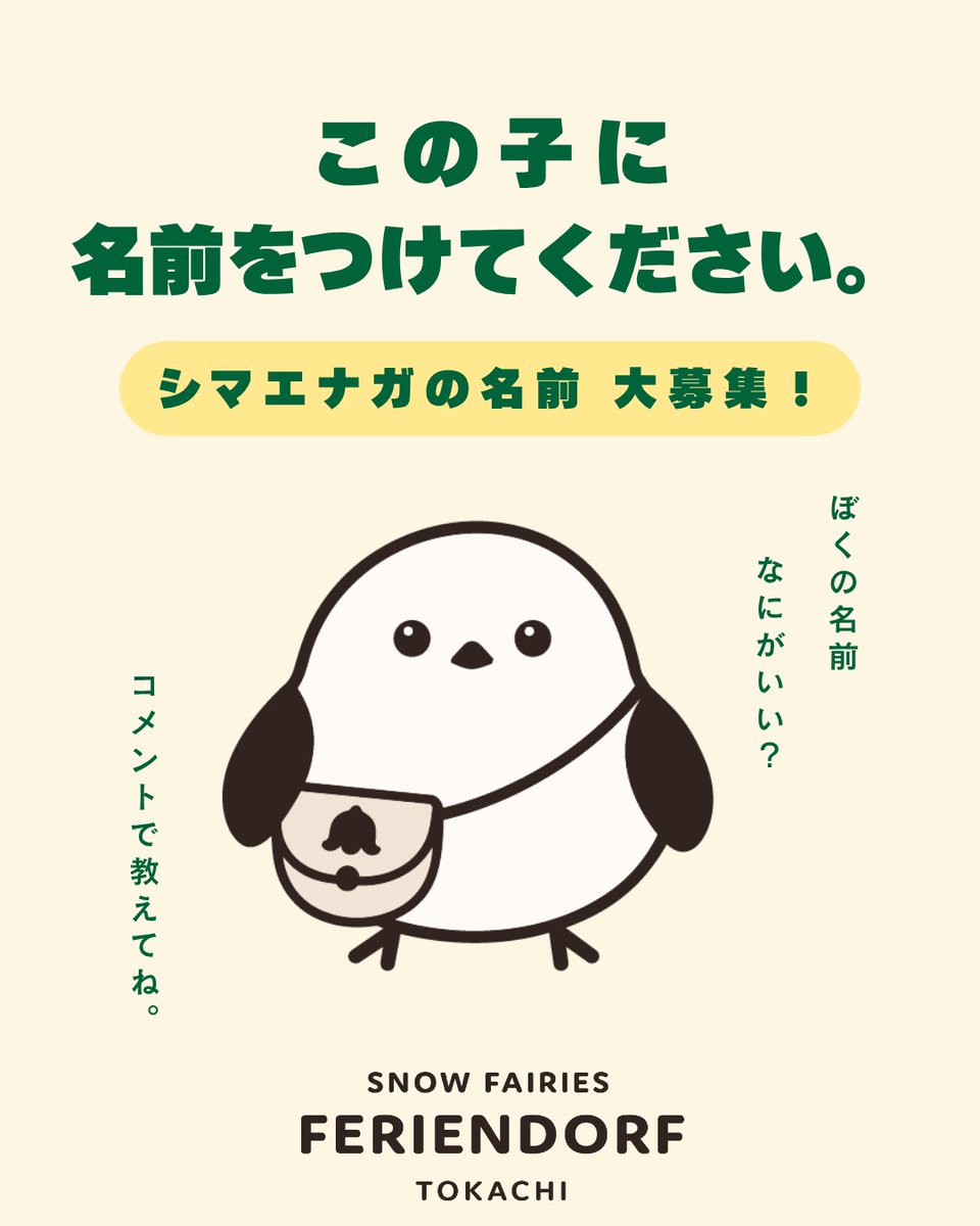 FNakasatsunai's tweet photo. 名もなきシマエナガに
名前をつけませんか？🐦

＼ Instagramで名前を大募集中！ ／
あなたが名付け親になるかも！？

▼応募はこちら
https://t.co/M6IjkFqWc1 https://t.co/jUqvKd4sKF