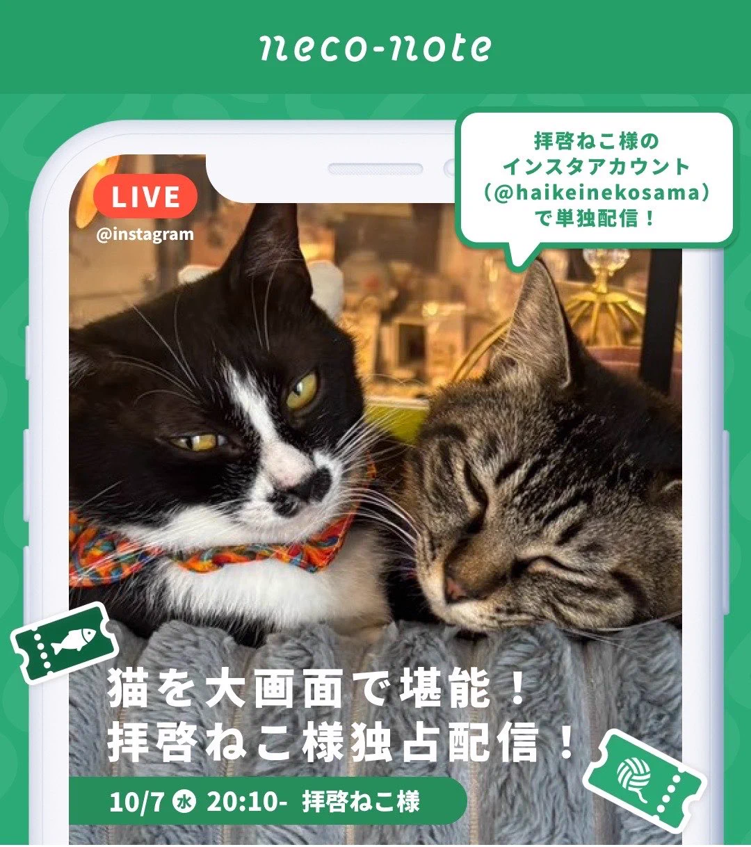 ネコノート【公式】保護猫支援サービス🐈 on X: 