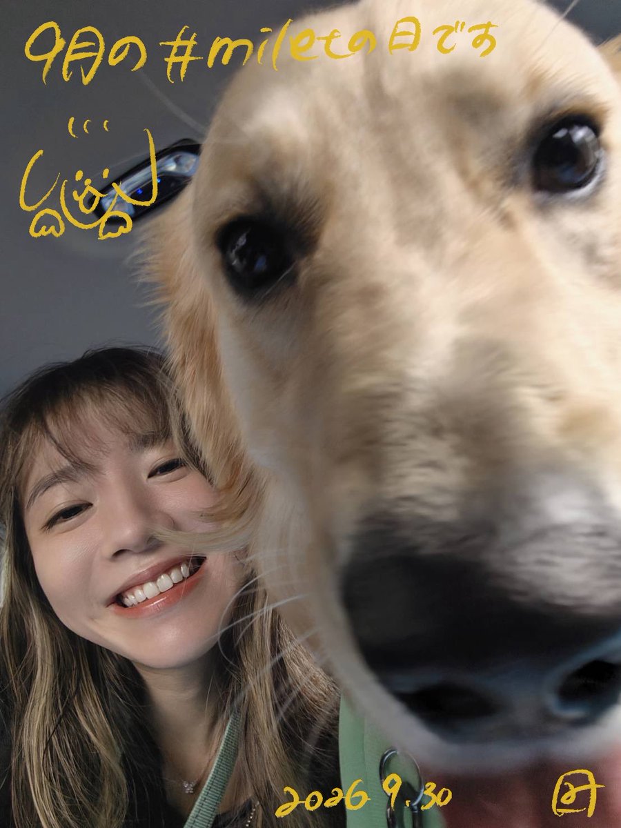 milet_music's tweet photo. 9月の #miletの日 です。
みなさんいかがお過ごしですか〜。

ジャンくんは、彼は必ず決まったところでおトイレができていたんですけど、最近変なところで粗相するようになりました。ストレスかな？アピールかな？怒るのは可哀想なのであんまり怒りたくないです。どうしよう。

最近はMoGツアーが開幕しましたね。
𝙼𝚊𝚍𝚎 𝚘𝚏 𝙶𝚕𝚊𝚜𝚜 をMoGと略しているんですけど、『メタルギアソリッド』というゲームがあって、それはMGSと略すんですね。なんで頭の中でいつもごっちゃになって、ライヴで「𝙼𝚊𝚍𝚎 𝚘𝚏 𝙶𝚕𝚊𝚜𝚜 𝚃𝚘𝚞𝚛 へようこそ！」と言う時、いつも「メタルギアソリッドへようこそ！」と言いそうになります。ここは戦場かよ。いつか口が滑りそうな気がします。
個人的には、今まででダントツの満足感に溢れたツアーだなと思うんですけど、みなさんどうですか？これからいらっしゃる方は、ぜひアルバムMGS…じゃないMoGたくさん聴いて楽しみにしていてくださいね。

移動中や意識があるときは、ほとんどずっと三島由紀夫の『金閣寺』のことを考えています。美しく、憧れ、夢を抱いたあの金閣寺という対象を破壊して心は満たされたのだろうか。私もそんな何か壊してしまえば満足できるのかな。真似したくないです。
永遠になるためにはどうすればいいのか。それは永遠に存在させることじゃない、破壊して滅びることで「それ」が人の心の中に再構築されて永遠に生き続けることができる。のかなあ。
破壊をすることで、金閣と本当の意味で合体・結合することができた。とかなんかそんなことばっか考えてます。

心と体の状態ですが、今はもう、気合いで乗り越えるしかねえなって気持ちになってます。笑(大丈夫、お薬はのんでます、でもなかなか効かなかったりもして)
苦しい、虚しい、そんな絶望の先に、今、怒りがあります。自由のきかない心と体。私は今この怒りを、活動のエネルギーに変換してみようと試みているのです。許せねえ、この病気ぶっ飛ばしてやる。お前になんか絶対負けない。と、一回怒ってみる実験をしてみます。逆効果の場合もありそうなのでそのときはすぐにやめます。
いやどうだろう、逆に変に感情を盛り上がらせて、精神が荒ぶっちゃって良くないのかな。。
なんかバカみたいな考えかもと思いはじめました。笑
とりあえずなんとか生きていきます。
こんな私の歌を聴いてくれる人がいてくれて、本当に救われているなあ。

 *｡ﾟ:*+.:.｡.☆

そしてなのですが、
10月22日(木)スタート
毎週木曜 夜21:00～

テレビ朝日系・木曜ドラマ
「アナログナース
〜デジタルってなんなんだよ!?〜」

私の新曲「My Voice, My Life」が主題歌に決定しました👩🏻‍⚕️

10月22日(木)配信開始です。

ドラマとともに、よろしくお願いしナース。

 *｡ﾟ:*+.:.｡.☆

10/11は念願の音博があるので、
まじで全力で生きてその日を迎えたいと思います。
押忍🥋
