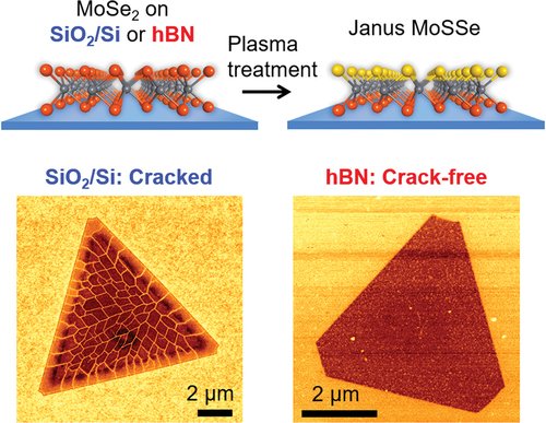 STAM_Journal's tweet photo. #STAM hBN-supported chalcogen substitution yields crack-free Janus TMD monolayers with narrow PL linewidths and improved optical uniformity. 🔗 https://t.co/wCpHWZOiyH #JanusTMD https://t.co/tt6LuY41EK