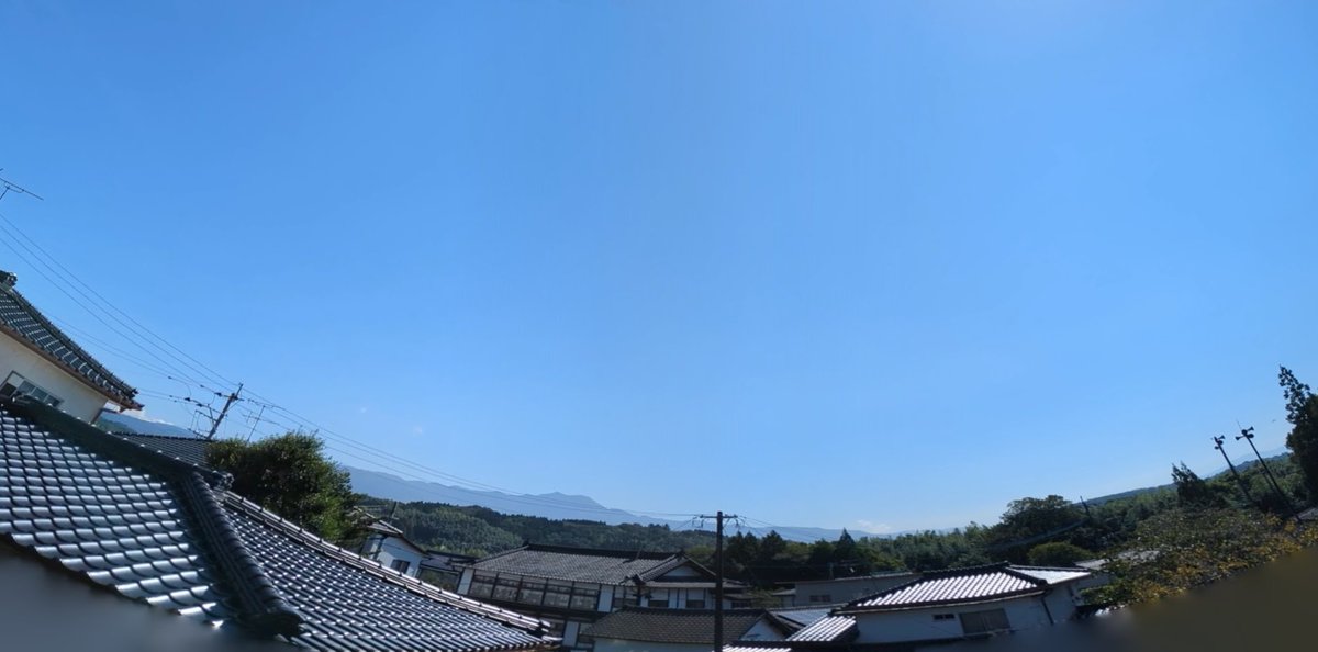 5norakun's tweet photo. 今日は朝からﾋﾟｰｶﾝ
雲一つない青空
思わずﾅﾅさんお鼻をﾍﾟﾛﾘ😆
＃保護猫　＃猫のいる暮らし　＃猫散歩 https://t.co/DxhkZ4UbDP
