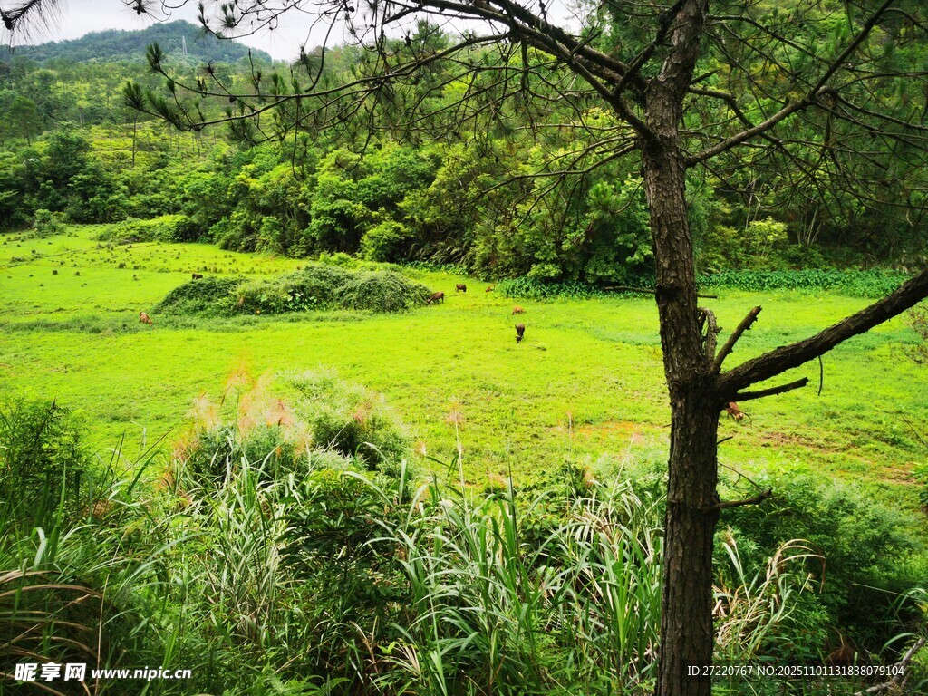 d0r35113's tweet photo. [Lao people hope the village gets water soon!]， https://t.co/fWpWWNjSgg