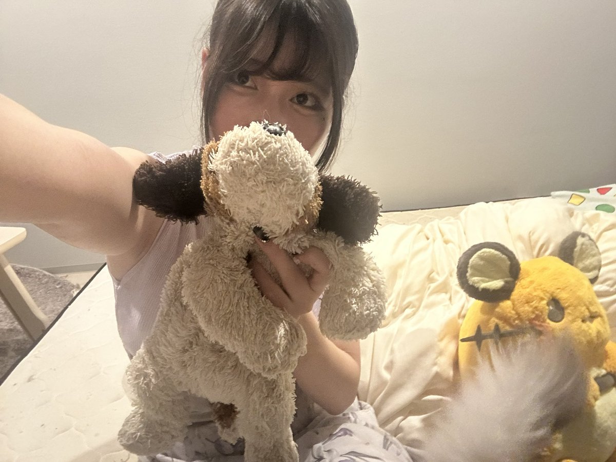 pachinko_malo's tweet photo. 【まろ。10月予定】
RT拡散よろしくお願いします。

初めての店舗さん、久々の兵庫県があります。YouTubeライブもしていくので、応援よろしくお願いします。
東北で2件くらい追加になると思うのでまた追って告知します！

みなさんに会いたいな🐱
コメントもよろしく📝
PR https://t.co/9D2sbldjv5
