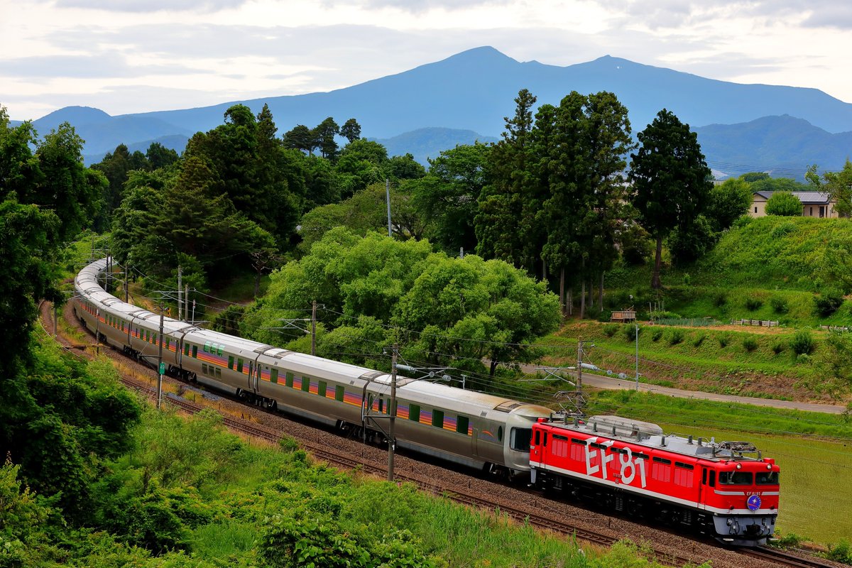 s0811146's tweet photo. 写真を撮り始めてまだ2年ほど
ラストランが噂され始めた頃
だから写真もほとんどない

当時東京に住んでいて新幹線の車窓から大宮付近の留置線に佇んでいたこの車両をよく見かけました

🟥EF81-95🟥 https://t.co/ugcHGjxs8p