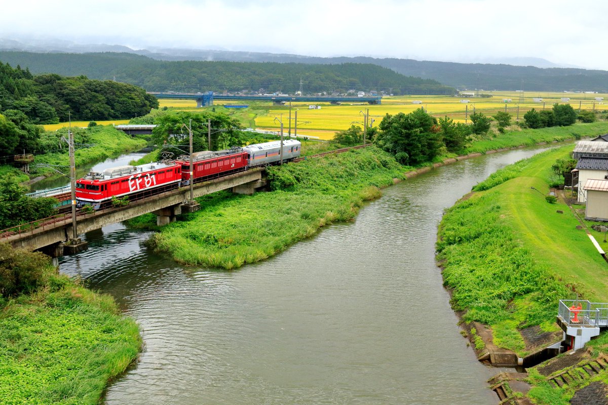 s0811146's tweet photo. 写真を撮り始めてまだ2年ほど
ラストランが噂され始めた頃
だから写真もほとんどない

当時東京に住んでいて新幹線の車窓から大宮付近の留置線に佇んでいたこの車両をよく見かけました

🟥EF81-95🟥 https://t.co/ugcHGjxs8p