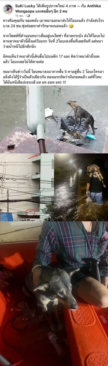 TifFaNy_9member's tweet photo. กูอยากเห็นหน้าคนโยนน้องลงมา

คือ #น้ำท่วม แล้วน้องเป็นหมาจร น้องก็พยายามหาที่ยืนเพื่อเอาชีวิตรอดอ่ะ

น้องก็ยืนบนโซฟามาสักระยะ แล้วทีนี้น้องสามารถเข้าไปหลบในตึกเคหะร่มเกล้า17 ได้แล้วอ่ะ

แต่สุดท้ายมีคนเหี้ยโยนน้องลงมาจากระเบียงชั้น5 จนน้องมาติดค้างอยู่ที่ระเบียงชั้น2 น้องไปไหนไม่ได้เพราะน้องขาหัก 

มีการส่งเคสต่อๆกันแล้วมีคนเข้าไปช่วยน้องส่งหาหมอได้สำเรจ

#น้ําท่วมกรุงเทพ