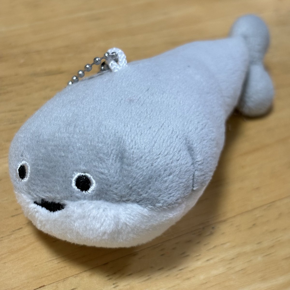 roe_shingo_tem's tweet photo. デコホームにいたので連れて帰ってきた https://t.co/31iFwbwPl4