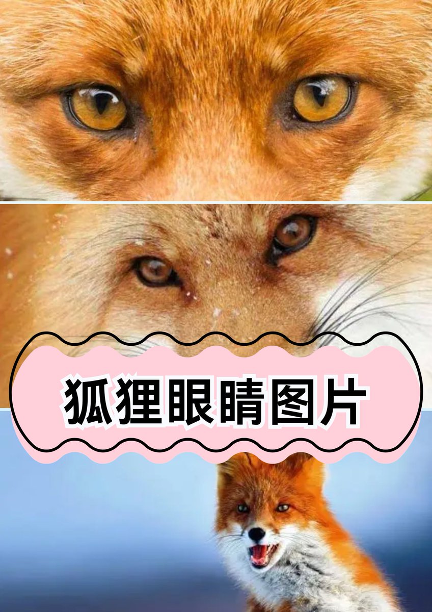 slvkend487's tweet photo. This guy is as cunning as a top-tier crafty fox, always outsmarting others to get what he wants.， https://t.co/C58imWliya