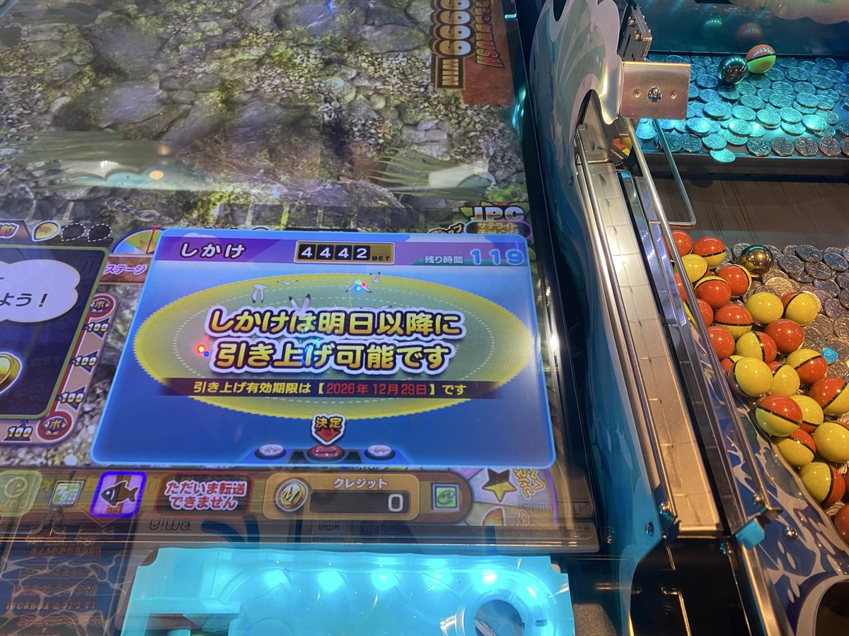 tanu_world__'s tweet photo. 減らなくて怒りの揺らし！ではまた冬に*˙︶˙*)ﾉ" https://t.co/cxerYqW6BQ