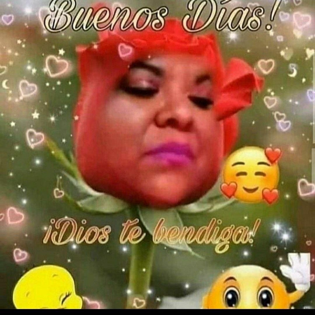 agoshaks_'s tweet photo. hola mutis como amanecieron https://t.co/mSnOnjeKcV