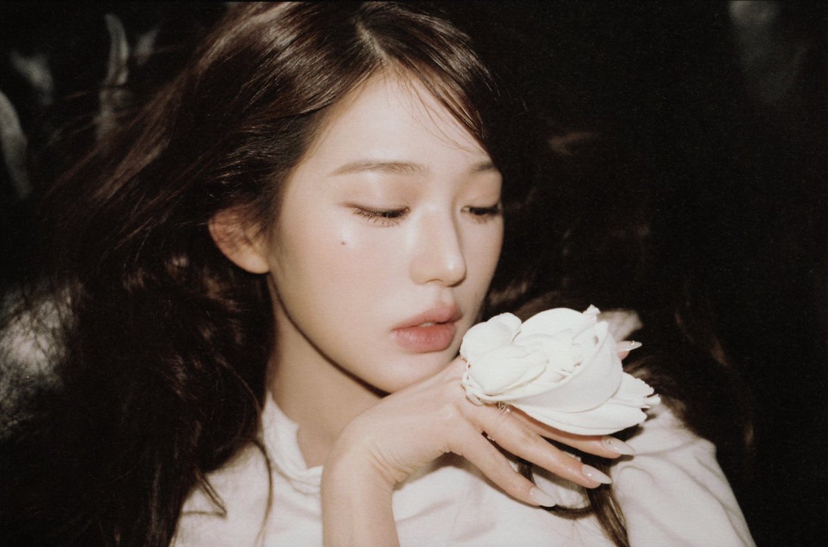 fairywonyo's tweet photo. 🪷 https://t.co/86SAvQi56H