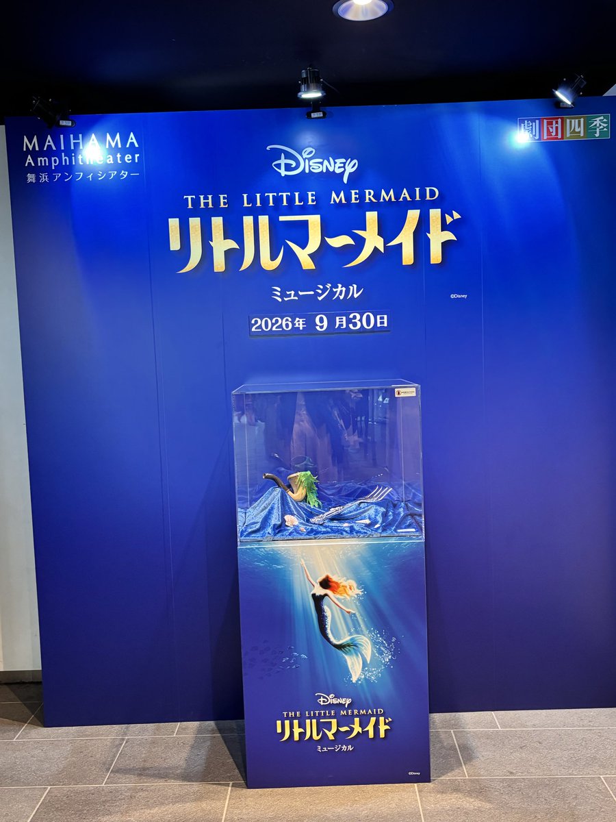 hina_abc_'s tweet photo. LM〜🧜‍♀️
今日は近いお席で堪能させていだだきました😊
しかし角度でこんなに変わるのねアンフィ…笑 https://t.co/QAMZRSZlmg