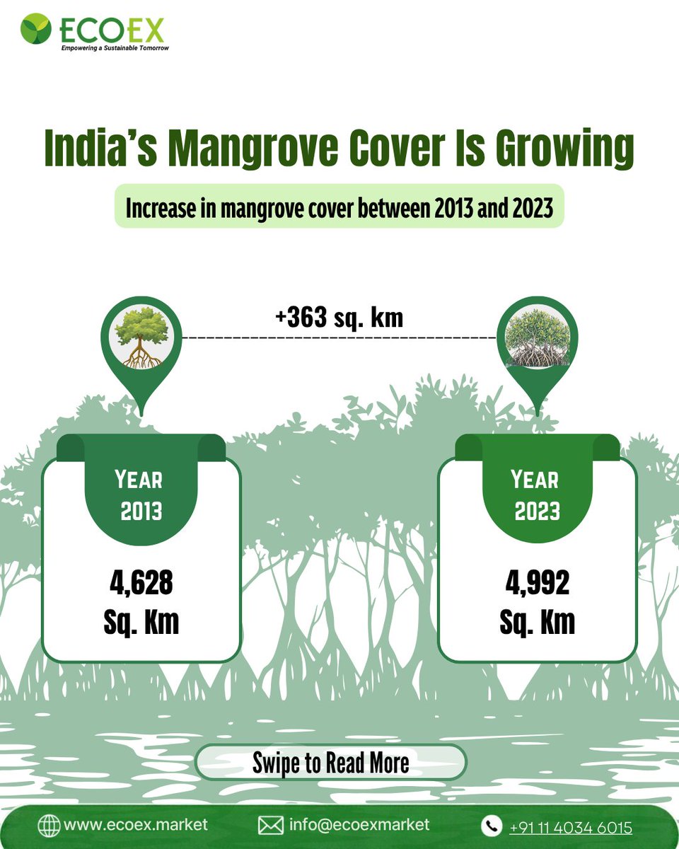 ex_eco's tweet photo. Mangroves are more than coastal forests. They are natural climate and biodiversity assets.
India’s mangrove cover increased from 4,628 sq. km. in 2013 to 4,992 sq. km. in 2023, a net gain of 363 sq. km.
#Mangroves #MISHTI #Biodiversity #ClimateAction #NatureBasedSolutions https://t.co/BQZxHCczHM