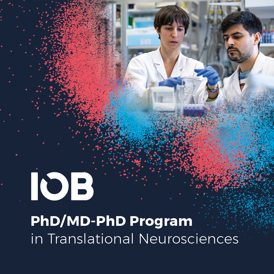 IOB_ch's tweet photo. 📢 Call for Applications is now open!

The IOB PhD and MD–PhD Program in Translational Neurosciences is now accepting applications.

🔬 Discover the program and application requirements:
Learn more & apply: https://t.co/GsndKp7A80
#IOB #PhD #MDPhD #TranslationalNeuroscience #Neuroscience #CallForApplications