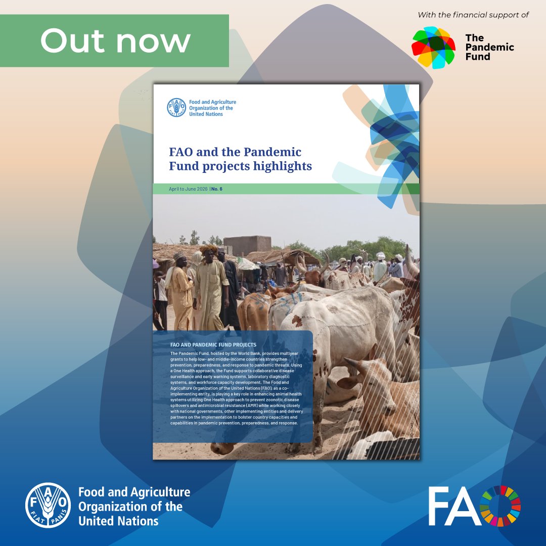 FAOLivestock's tweet photo. 📘NEW: FAO and the Pandemic Fund Highlights

Discover how projects are making strides in pandemic prevention, preparedness &amp; response using a #OneHealth approach.

📖 Find out more: https://t.co/HonAE8b4Us https://t.co/W26leYDo4D