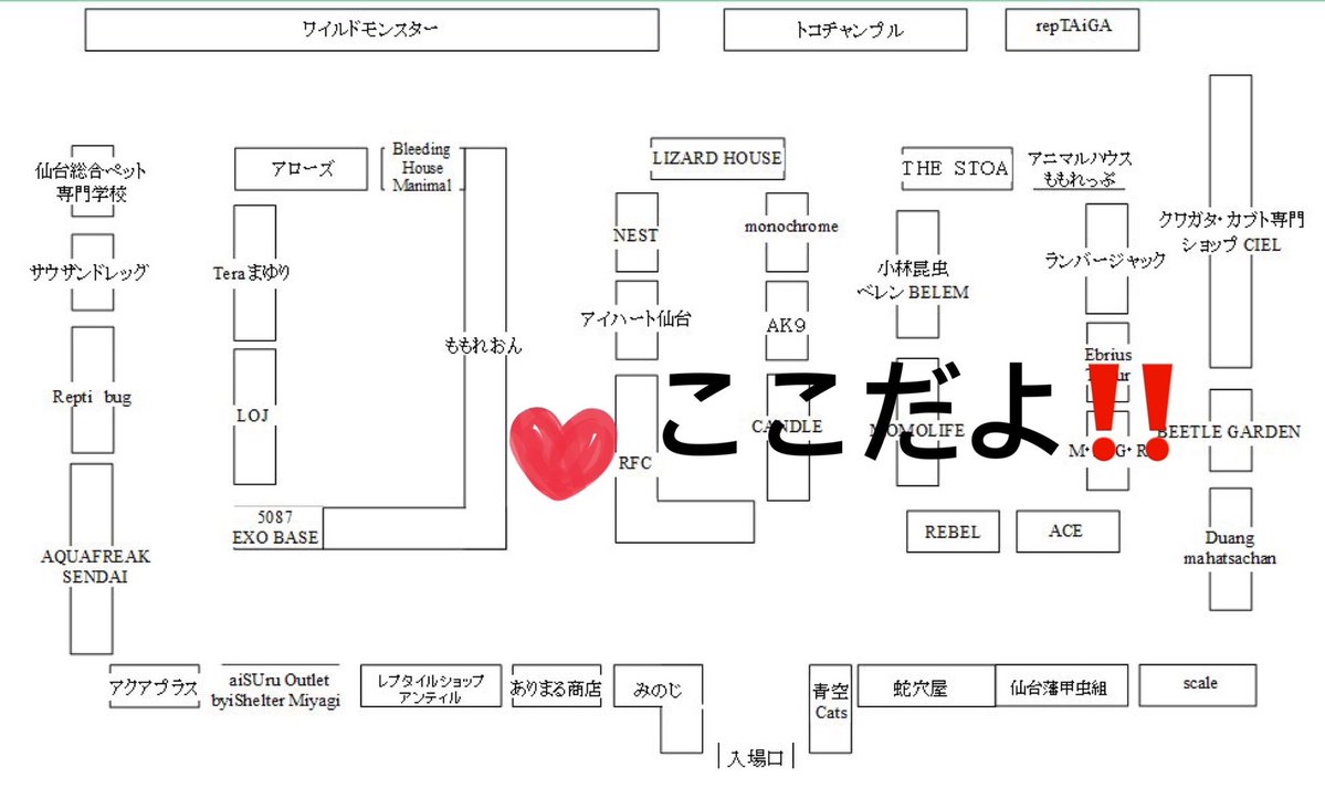 rfc2022_nobu's tweet photo. 🌟東北ペットフェス出店‼️
即戦力で使えそうなサイズの子達入荷してます☺️

・ブラックナイト♂
¥39,800-〜
・ブラックナイト♀ヤング
¥28,000-〜
大きめな♂の子なので、来季に向けて良いでしょうね‼️
レオパ70.80匹〜
蛇もそこそこ
色々他生体ももちろん居ますので、ブースにお立ち寄りくださいませ🙇‍♂️‼️
#東北ペットフェス
#レオパードゲッコー