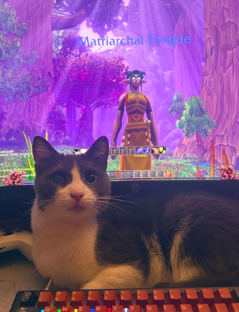 StinkyChiefs's tweet photo. #promotwt #moothunt
Looking for mutuals with similar interests! 😁

☆ World of Warcraft
☆ Halo (rip)
☆ South Park
☆ Heavy Music ( BMTH, Architects, Limp Bizkit)
☆ Goth Stuff

#WoWtwt #Halotwt #sptwt #bmthtwt #gothtwt #emotwt #metalcoretwt #worldofwarcraft #PC #metaltwt https://t.co/P7Q2otxF3A