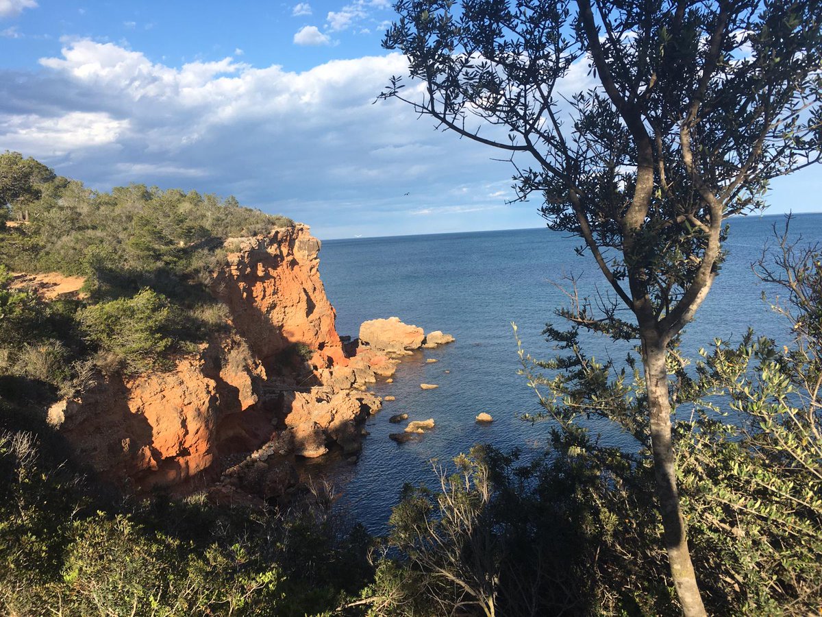 lampollaturisme's tweet photo. 🌊 Els penya-segats de l’Ampolla, natura en estat pur
Allà on la terra es troba amb el Mediterrani, els penya-segats de la costa de l’Ampolla creen un paisatge espectacular. 🌿
#lAmpolla #DeltadelEbre #TerresdelEbre #CatalunyaExperience
@terresebretur @catexperience https://t.co/E1Jgx3ysan