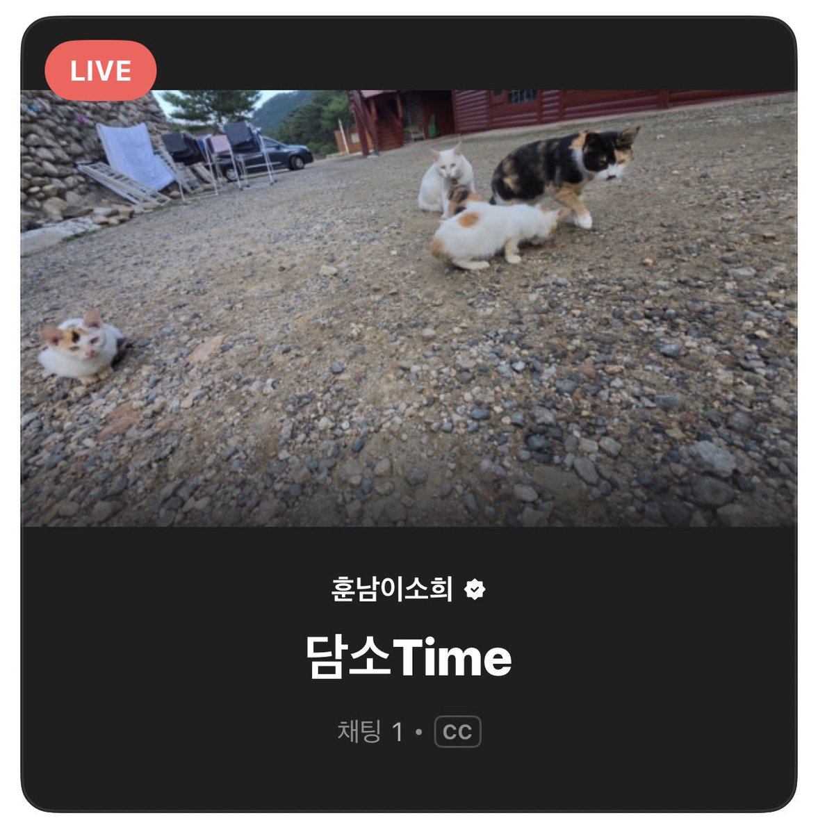 binnanomy's tweet photo. 썸네일 종내귀엽네ㅠㅠㅠㅠㅠㅠㅠㅠㅠㅋㅋㅋㅋㅋㅋㅋㅋㅋㅋㅋㅋㅋㅋㅋㅋㅋㅋㅋㅋㅋㅋㅋㅋㅋ https://t.co/0zTPhXUdZm