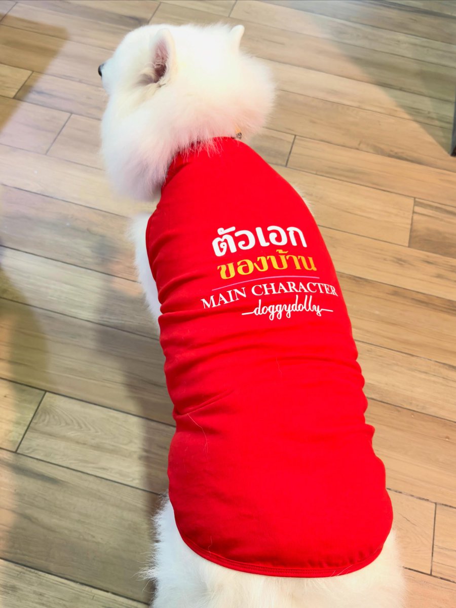 myjlouis's tweet photo. คุณยายมาลงแฮปน้องแลม 6 ขวบคับ ชอบเสื้อมากตัวเองของบ้านเลยนะ555555555 https://t.co/NQN3okLDVC