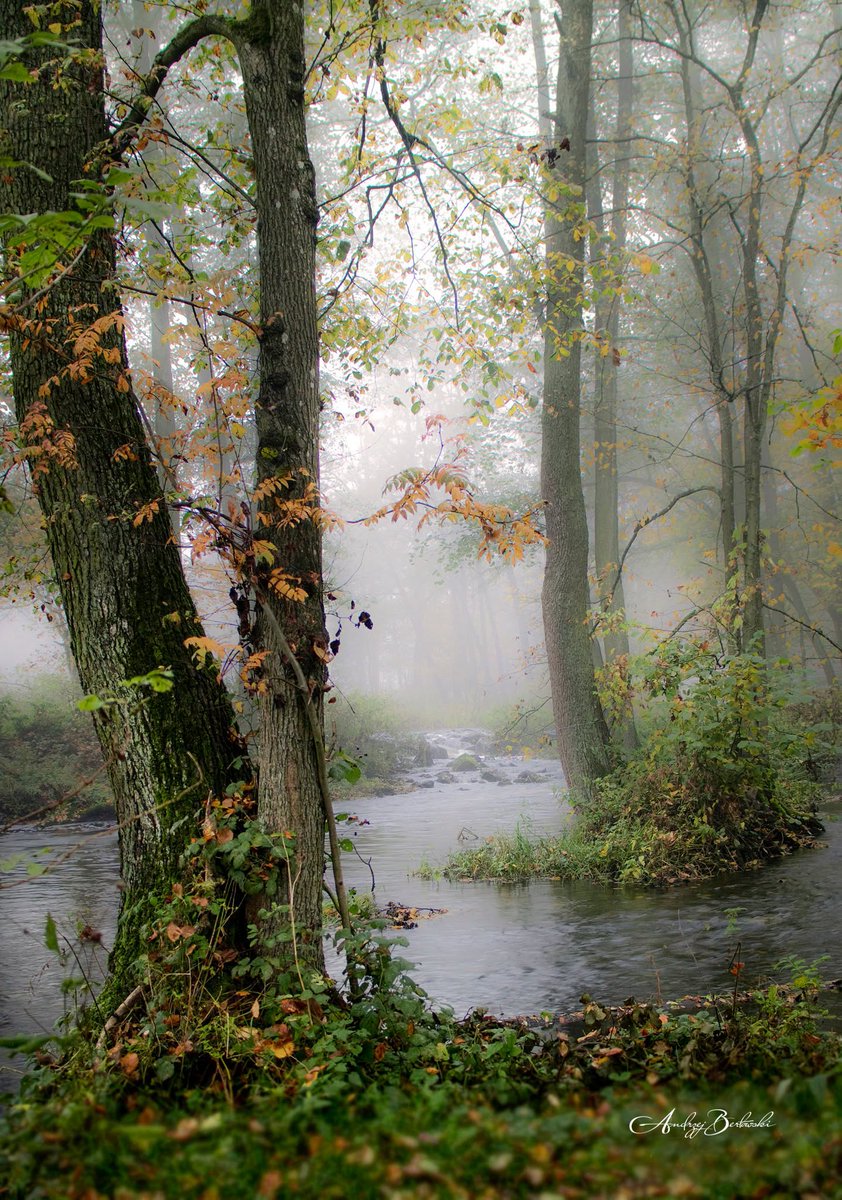 _monica_as's tweet photo. “We know that every moment is a moment 
of grace, every hour an offering.”

~ Elie Wiesel, 𝑀𝑒𝑠𝑠𝑒𝑛𝑔𝑒𝑟 𝑜𝑓 𝑃𝑒𝑎𝑐𝑒
·

© Greeting autumn by Andrzej Berłowski https://t.co/1C5zRGoNFc