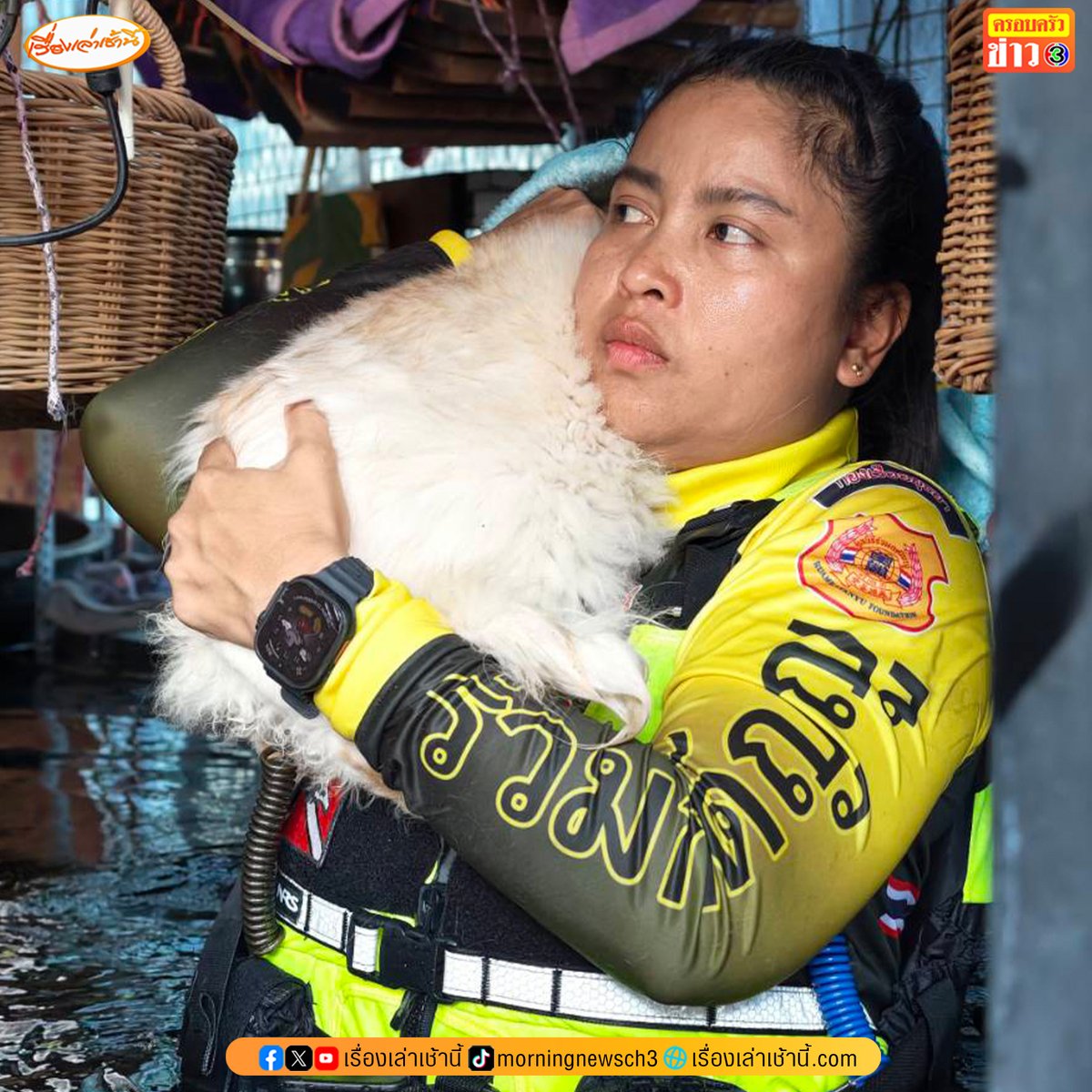 MorningNewsTV3's tweet photo. วันที่ 30 ก.ย. 2569 ทีมตอบโต้ภัยพิบัติ RKU. เข้าไปช่วยอพยพน้องแมวกว่า 10 ตัวในหมู่บ้านธนาซิตี้ บางนา-ตราด กม.12 ที่มีน้ำท่วมสูงมากกว่า 1 เมตร

#เรื่องเล่าเช้านี้ #ครอบครัวข่าว3 #น้ำท่วม #น้ำท่วมกรุงเทพ https://t.co/qs9AhaKFda