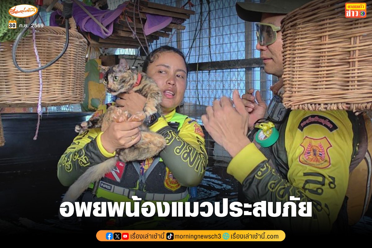 MorningNewsTV3's tweet photo. วันที่ 30 ก.ย. 2569 ทีมตอบโต้ภัยพิบัติ RKU. เข้าไปช่วยอพยพน้องแมวกว่า 10 ตัวในหมู่บ้านธนาซิตี้ บางนา-ตราด กม.12 ที่มีน้ำท่วมสูงมากกว่า 1 เมตร

#เรื่องเล่าเช้านี้ #ครอบครัวข่าว3 #น้ำท่วม #น้ำท่วมกรุงเทพ https://t.co/qs9AhaKFda