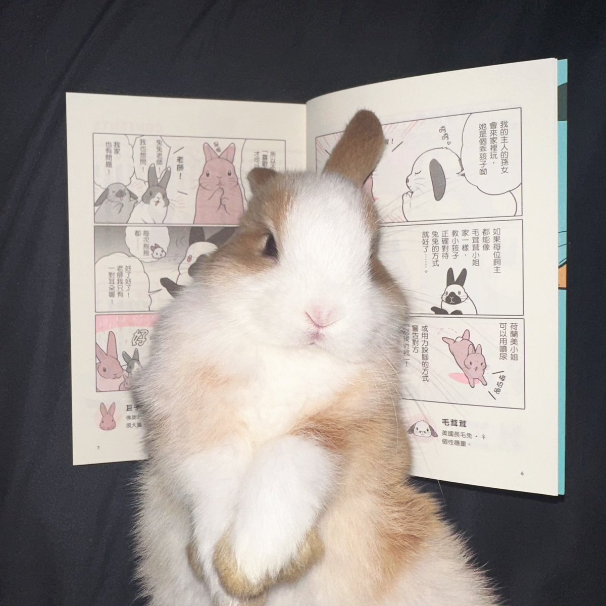ShouldHaveRabit's tweet photo. https://t.co/By3l9JmQ10