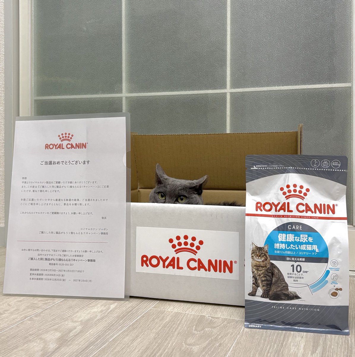 vAOS22RiMgBiMej's tweet photo. ロイヤルカナンのキャンペーンに当選してフードが届きました〜🎊
確かペットショップで声かけてもらって応募したものだと思う🙂‍↕️

タメもなぜかイカ耳になってフードも箱も喜んでいます💕

ロイカナさんありがとうございまーす✨

#猫のいる暮らし　#猫のいる幸せ https://t.co/gxatHyN9Sb