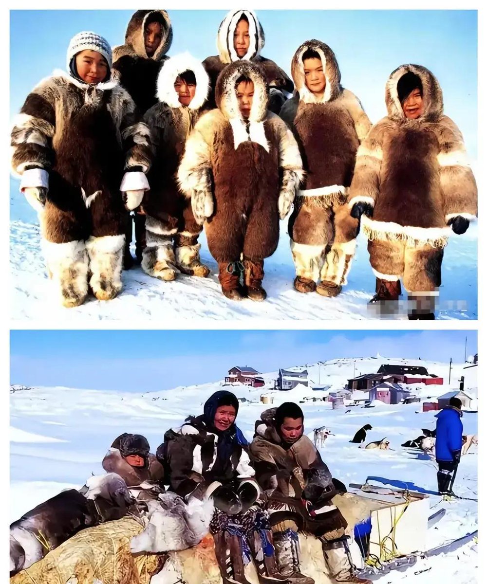 georg47132's tweet photo. This sled crew is chained by heavy yokes, but their unity lights up the frozen path ahead. https://t.co/CnjOa3Wlcj