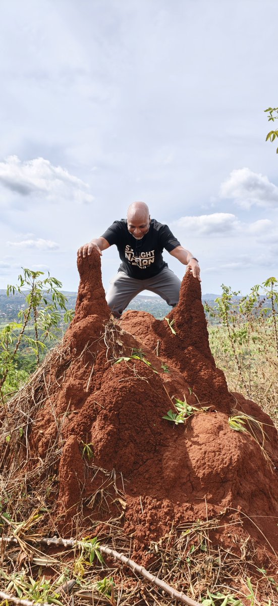 martinssempa's tweet photo. First #Muteweta Lecture in Papa Were Academy 

Guys I saw the Twin Towers

I Touched the the twin Towers.

I climbed the Twin Towers.

I sat on the Twin Towers.

I conquered the Twin Towers.

Have you ever had such an experience?

Diary of a Ugandan Exproler #Jinja #SourceoftheNile