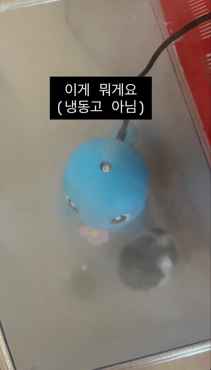 mousyyyy_'s tweet photo. 저희집 햄소토 근황: 물에 빠진 쥐 https://t.co/Q5alROCiTO