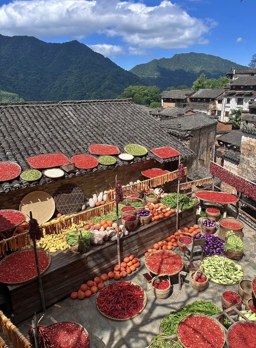 GoodlivingCN's tweet photo. What are all those colorful things drying outdoors?

Chilies, corn, rice and more! Every #autumn, the rooftops and drying racks of Huangling, a picturesque Huizhou-style village in Jiangxi, are covered with colorful crops, creating a striking contrast with the village's white walls and dark tiled roofs.

Known as "Shai Qiu," or autumn sun-drying, this centuries-old tradition was once a practical way for villagers to preserve their #harvest in the mountainous countryside. Today, it has become one of Huangling's most iconic autumn sights and a reminder of the traditions that are still part of rural life in China.
#GoodLivinginHuangling
(Photo Credit: cyya_Elaine)