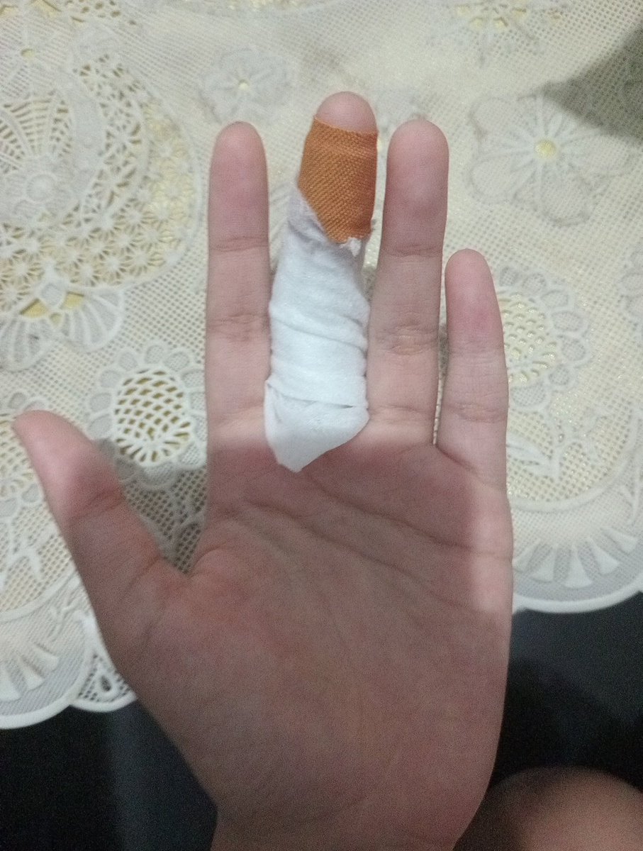 lanoykece's tweet photo. Gmbar pas jari hbis di aniaya kucing, babi apa kucing ini (versi finished nya nnti ku post ya gusyyy) https://t.co/8frQBwsizA