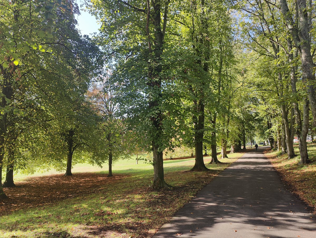 DerekTheWeather's tweet photo. Lovely walk in @Barrybados this morning. Breezy and warm. Risk of showers mid to late afternoon could be heavy with thunder. https://t.co/x5ykwsLDUr
