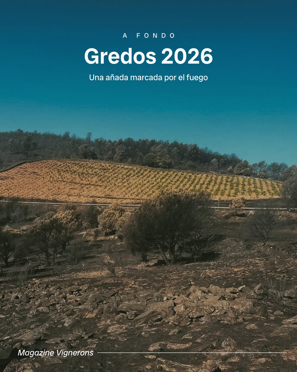 bodeboca's tweet photo. Este año quedará marcado en la historia de Gredos. El incendio del verano supuso un drama para el paisaje, para los vecinos y para las bodegas de la zona.

Una tragedia que ha puesto sobre la mesa la necesidad de tomar medidas drásticas de prevención.

https://t.co/yxseK6i21u https://t.co/eNTMfF7Xt1