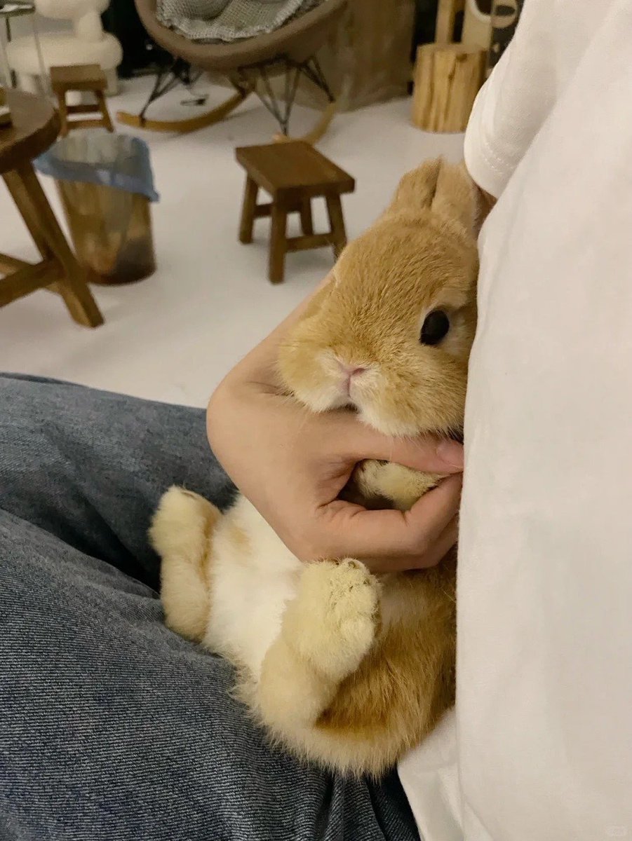 ShouldHaveRabit's tweet photo. https://t.co/vQJTg1vkQI