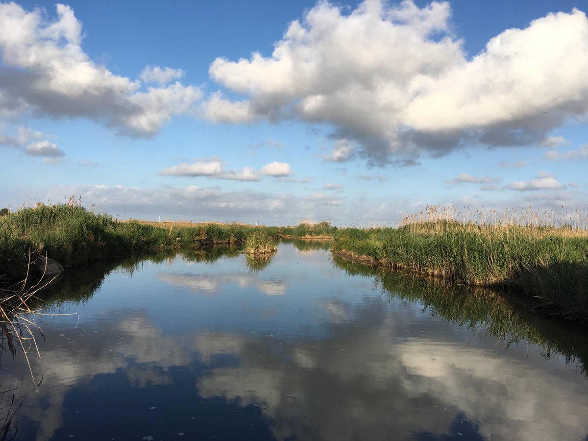 lampollaturisme's tweet photo. 🦩🌿 La Bassa de les Olles, un racó natural de l’Ampolla 💙
Entre arrossars, aiguamolls i el paisatge del Delta de l’Ebre, la Bassa de les Olles és un d’aquells llocs on la natura es mostra en tota la seva esplendor. 🌾🌊
#lAmpolla #DeltadelEbre
@terresebretur @catexperience https://t.co/m4TMjqNmeJ