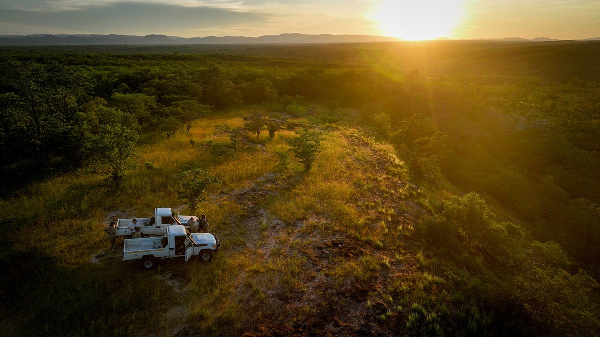 richardpchapman's tweet photo. New work: the story of launching a group brand covering investment, services and charitable foundations for MISA Group in Africa and the Middle East. https://t.co/MI5M4Cfcat https://t.co/LxmGRAicYt
