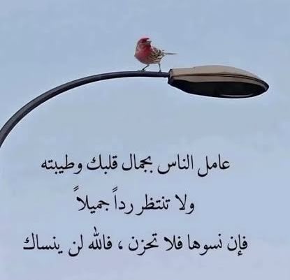 aaalsenan's tweet photo. https://t.co/vKLo0Rbo8K