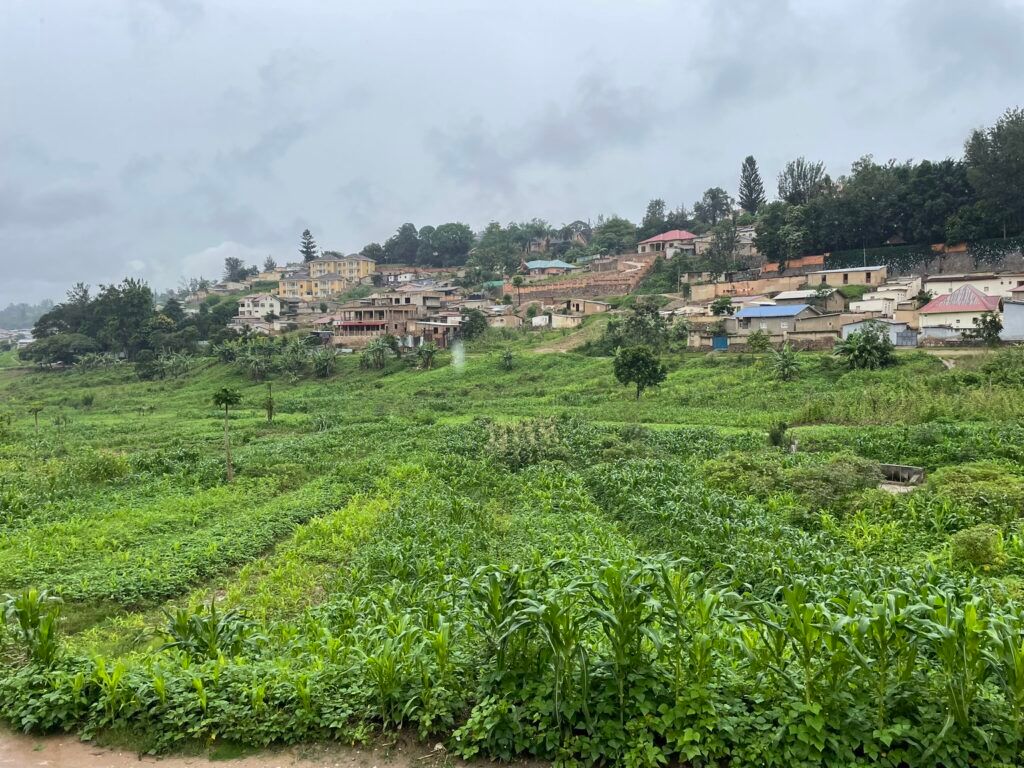 SIANIAgri's tweet photo. SIANI highlights research on #gender inequalities in agri-food systems in #Kigali. Research shows how disappearing farmland affects urban farmers differently &amp; why more than gender matters in addressing women farmers’ position. 

https://t.co/PsgQTXpouz 

#IYWF2026 https://t.co/PDpoWlM99c
