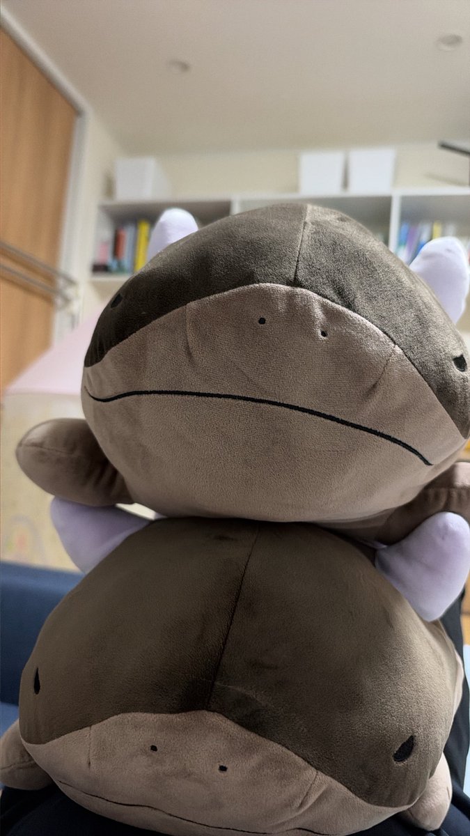 tanekkuma's tweet photo. かわいい！欲しい！ https://t.co/MWvdpSFOD1